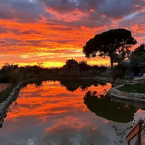  Glamping Oasis Camp Portugal Portogallo